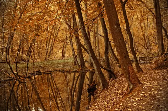 Билеты на Синдбад в Подгаджи