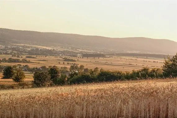 Biglietti Sindbad per Ostrowiec Swietokrzyski.