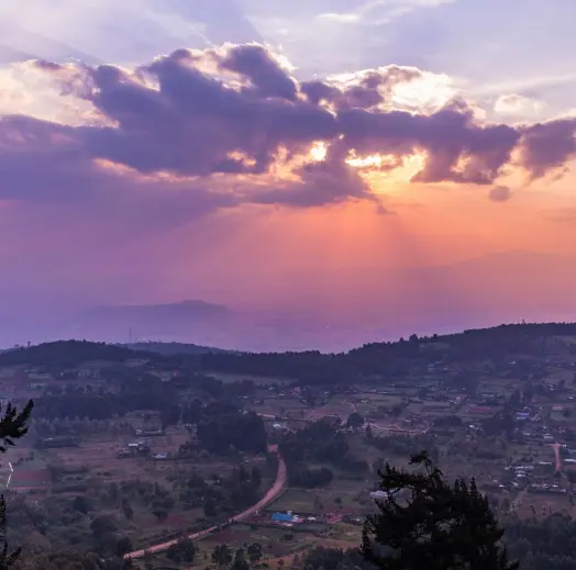 Coach tickets to Przeworsk.