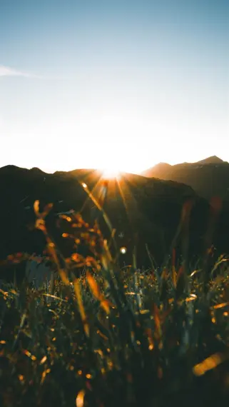 Billets de Sindbad à Weiden in der Oberpfalz