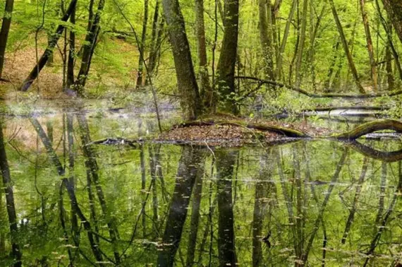 Jastrowie - PKS - Autobus et autocars - Transports - Attractions et sites touristiques